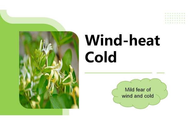 Wind-heat Cold Applications