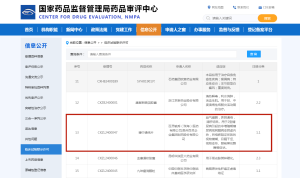 国家药品监督管理局药品审评中心 副本